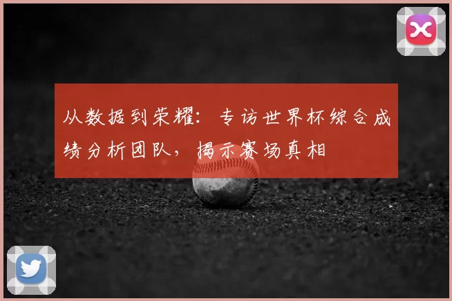 从数据到荣耀：专访世界杯综合成绩分析团队，揭示赛场真相