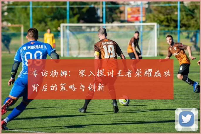 专访杨娜：深入探讨王者荣耀成功背后的策略与创新