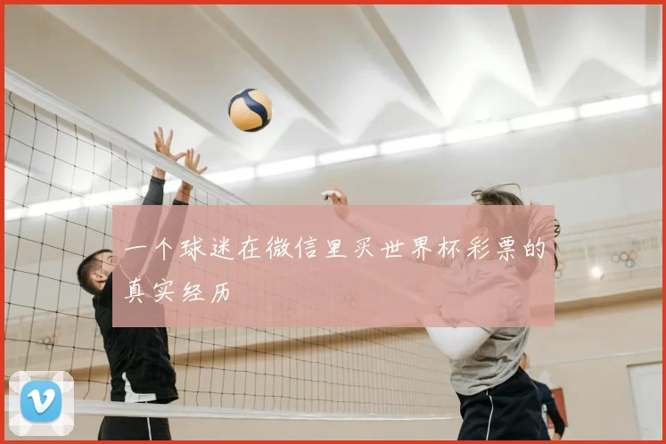 一个球迷在微信里买世界杯彩票的真实经历
