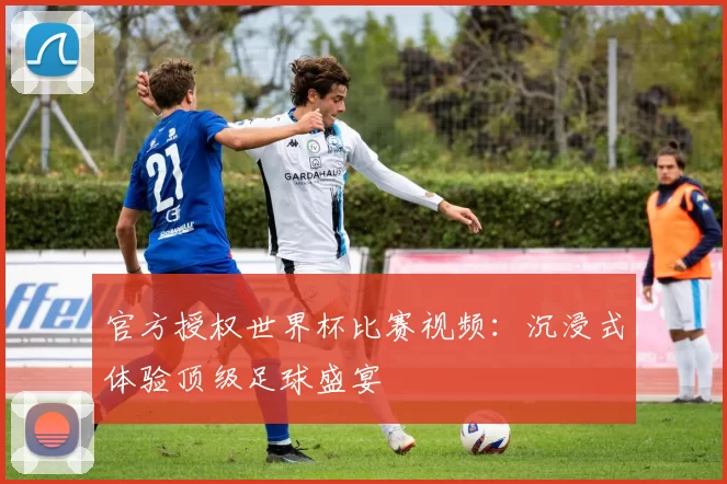 官方授权世界杯比赛视频：沉浸式体验顶级足球盛宴