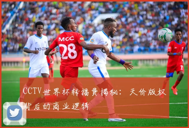 CCTV世界杯转播费揭秘：天价版权背后的商业逻辑