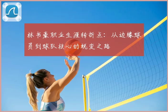 林书豪职业生涯转折点：从边缘球员到球队核心的蜕变之路